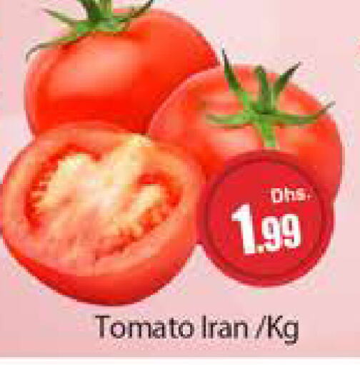 Tomato from Iran available at Al Madina  in UAE - Dubai