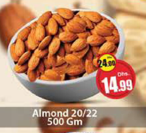 available at Al Madina  in UAE - Dubai