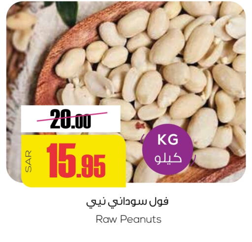 available at سبت in مملكة العربية السعودية, السعودية, سعودية - بريدة