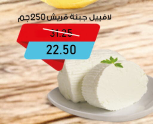 available at اكسبشن ماركت in Egypt - القاهرة