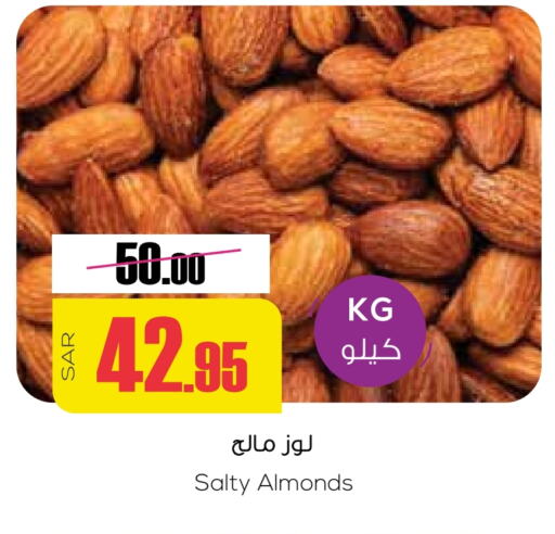 available at سبت in مملكة العربية السعودية, السعودية, سعودية - بريدة