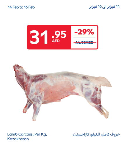 لحم الضأن / الغنم available at كارفور in الإمارات العربية المتحدة , الامارات - أم القيوين‎