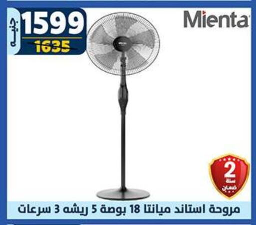 Fan available at Shaheen Center in Egypt - Cairo