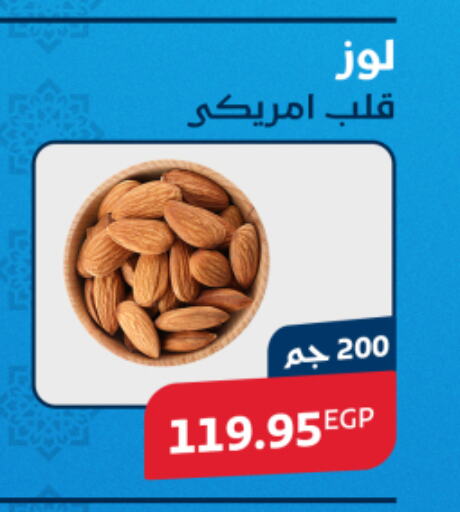 available at اكسبشن ماركت in Egypt - القاهرة