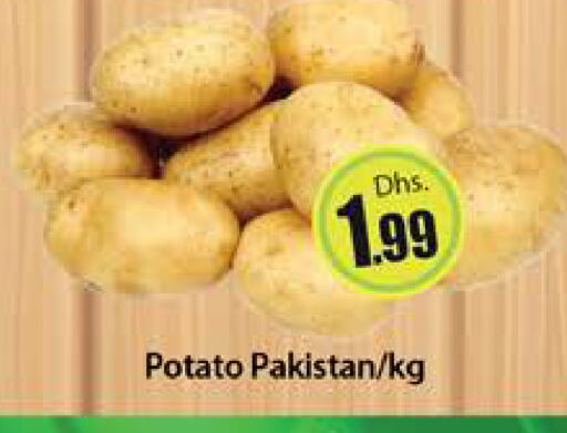 Potato from Pakistan available at Al Madina  in UAE - Dubai