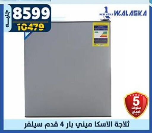 Refrigerator available at Shaheen Center in Egypt - Cairo