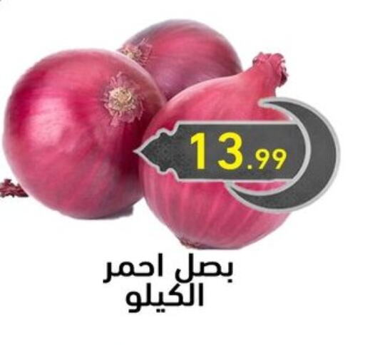 بصل available at أولاد المحاوى in Egypt - القاهرة