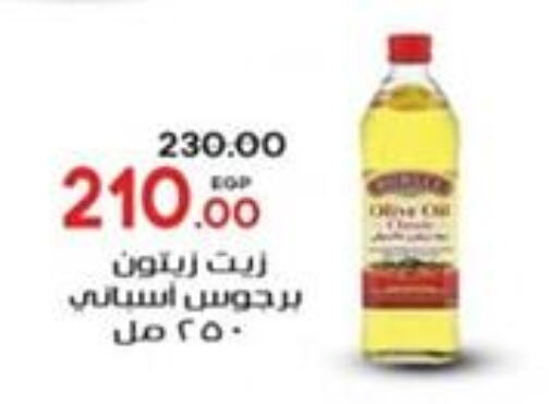 Olive Oil available at Galhom Market in Egypt - Cairo