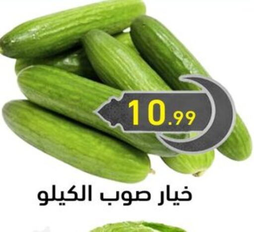 خيار available at أولاد المحاوى in Egypt - القاهرة