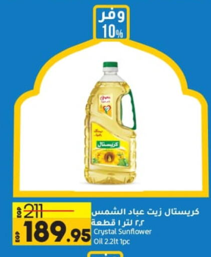 زيت دوار الشمس available at لولو هايبرماركت in Egypt - القاهرة