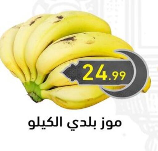 موز available at أولاد المحاوى in Egypt - القاهرة