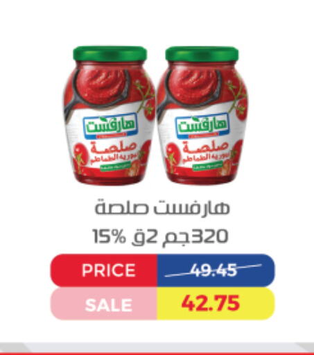 available at اكسبشن ماركت in Egypt - القاهرة