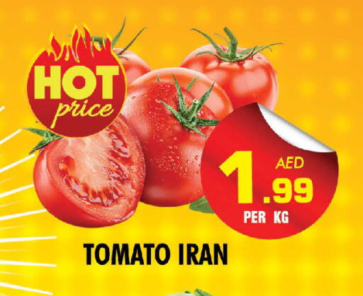 Tomato from Iran available at NIGHT TO NIGHT DEPARTMENT STORE in UAE - Sharjah / Ajman