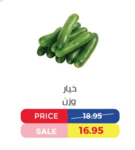 خيار available at اكسبشن ماركت in Egypt - القاهرة