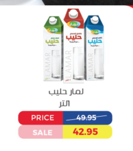 available at اكسبشن ماركت in Egypt - القاهرة