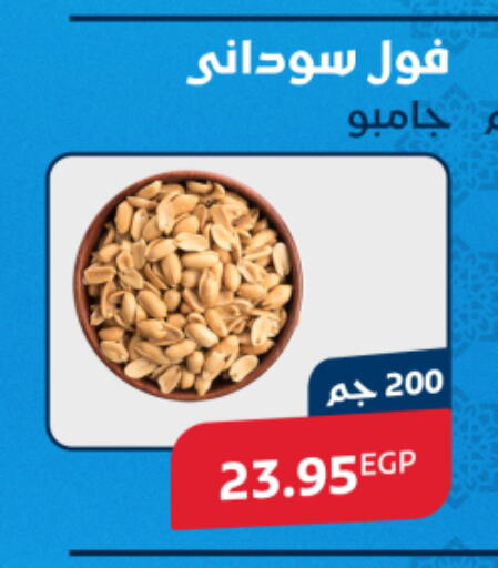 available at اكسبشن ماركت in Egypt - القاهرة