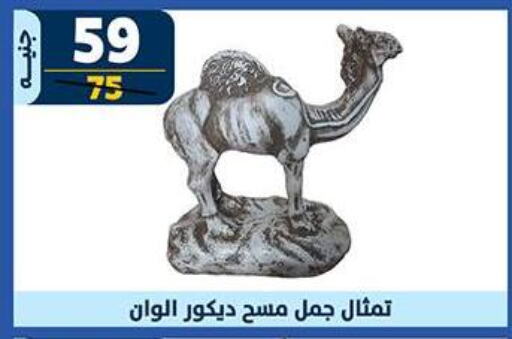 available at سنتر شاهين in Egypt - القاهرة