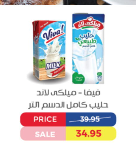 available at اكسبشن ماركت in Egypt - القاهرة