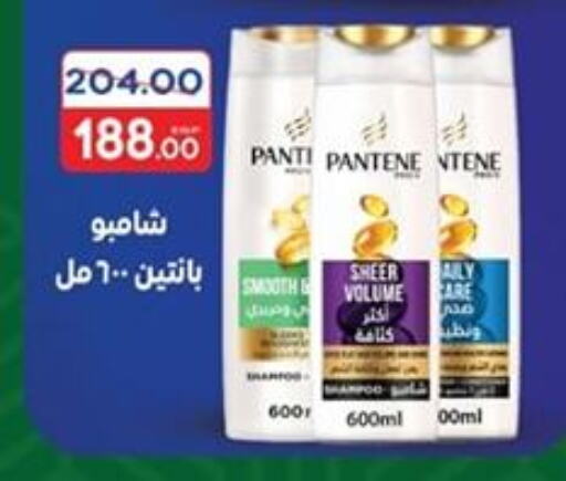 PANTENE Shampoo / Conditioner available at Galhom Market in Egypt - Cairo