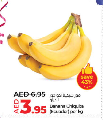 Banana from Ecuador available at Lulu Hypermarket in UAE - Dubai