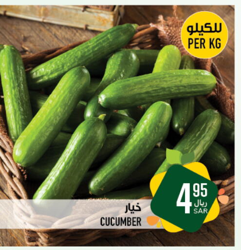 Cucumber available at Abraj Hypermarket in KSA, Saudi Arabia, Saudi - Mecca