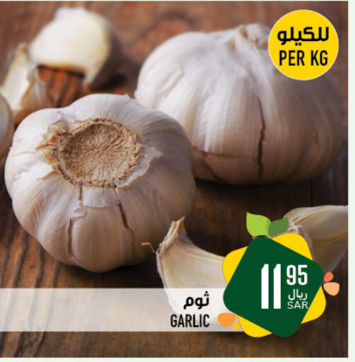 Garlic available at Abraj Hypermarket in KSA, Saudi Arabia, Saudi - Mecca