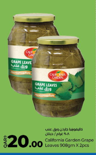 كاليفورنيا جاردن available at لولو هايبرماركت in قطر - الوكرة