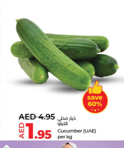 Cucumber available at Lulu Hypermarket in UAE - Dubai