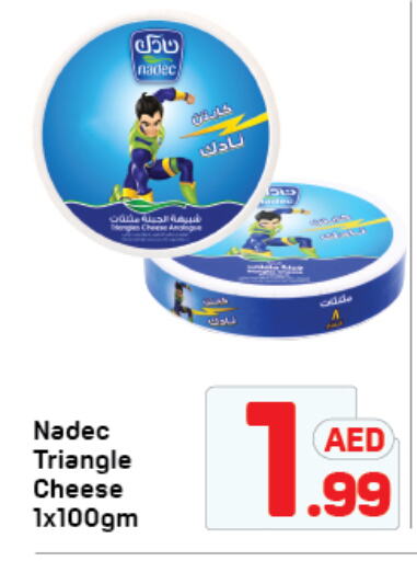 NADEC Triangle Cheese available at Day to Day Department Store in UAE - Dubai