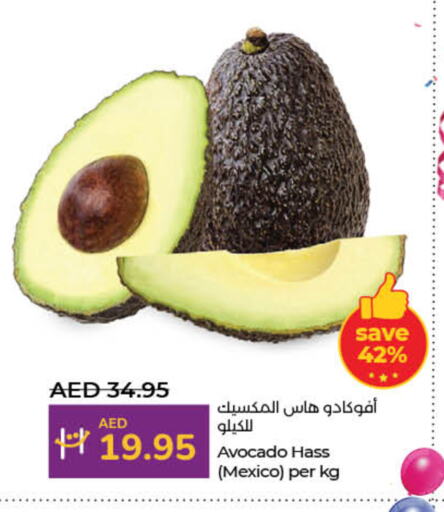 Avacado from Mexico available at Lulu Hypermarket in UAE - Dubai