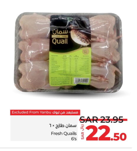 Fresh Whole Chicken available at LULU Hypermarket in KSA, Saudi Arabia, Saudi - Tabuk