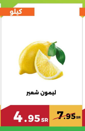 LEMON available at Forat Garden in KSA, Saudi Arabia, Saudi - Mecca