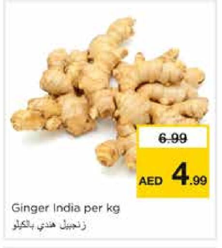 Ginger from India available at Nesto Hypermarket in UAE - Sharjah / Ajman