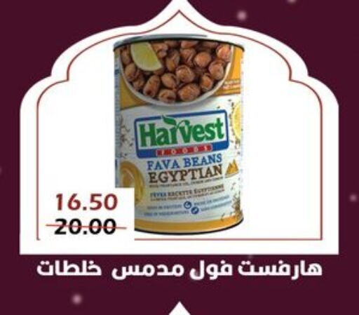 Fava Beans available at Bashayer hypermarket in Egypt - Cairo