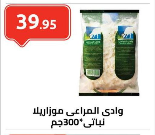 ALMARAI Mozzarella available at El-Hawary Market in Egypt - Cairo