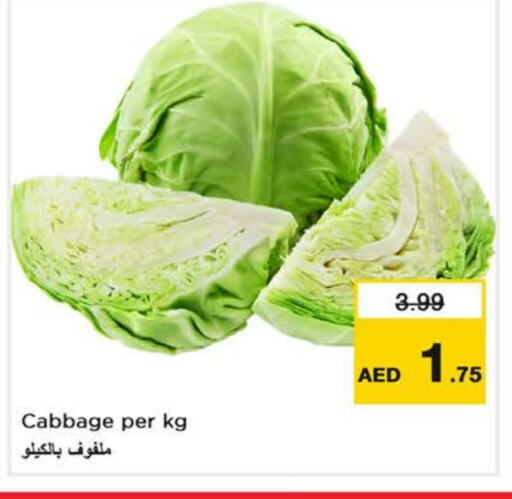 Cabbage available at Last Chance  in UAE - Sharjah / Ajman