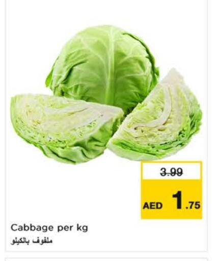 Cabbage available at Nesto Hypermarket in UAE - Dubai