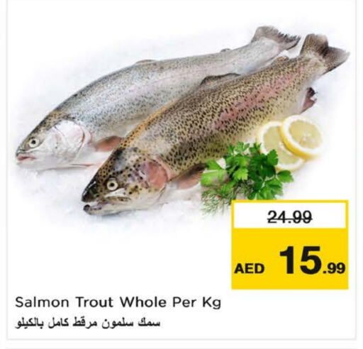 available at Nesto Hypermarket in UAE - Fujairah