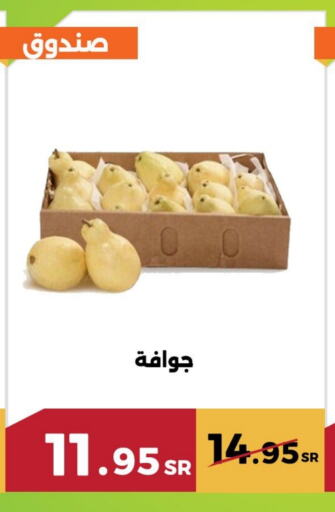 Guava available at Forat Garden in KSA, Saudi Arabia, Saudi - Mecca