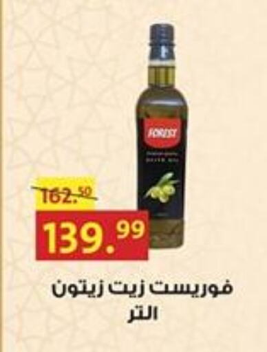 Olive Oil available at Al Habib Market in Egypt - Cairo