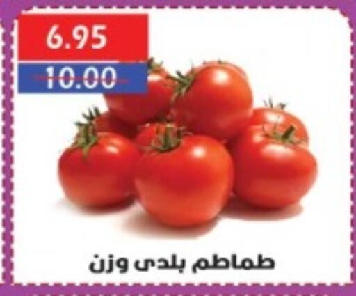 Tomato available at Sarhan Market in Egypt - Cairo