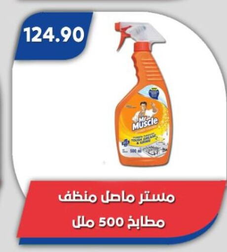 MR. MUSCLE General Cleaner available at Bassem Market in Egypt - Cairo