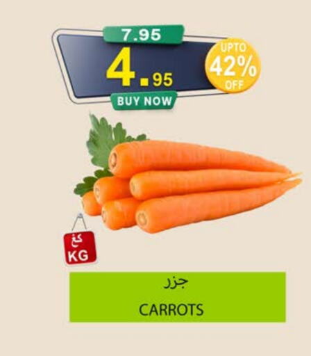 Carrot available at Khair Beladi Market in KSA, Saudi Arabia, Saudi - Yanbu