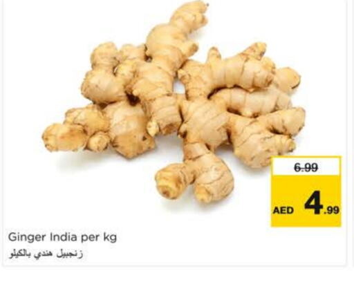 Ginger from India available at Nesto Hypermarket in UAE - Sharjah / Ajman