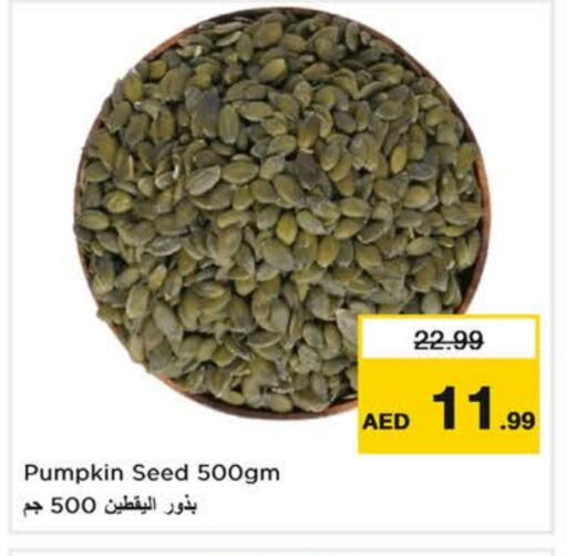 Pumpkin available at لاست تشانس in الإمارات العربية المتحدة , الامارات - الشارقة / عجمان