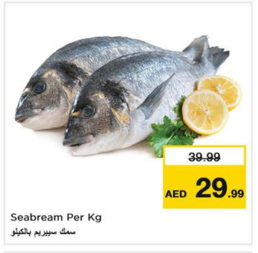 available at Nesto Hypermarket in UAE - Dubai