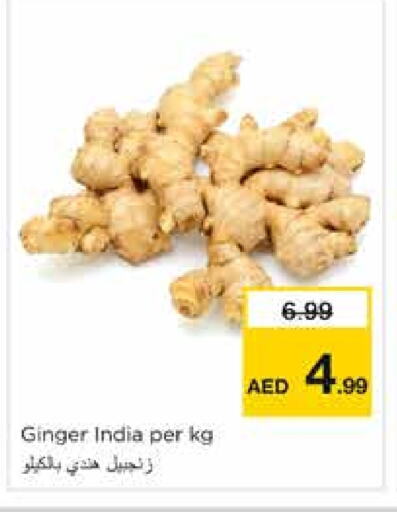 Ginger from India available at Nesto Hypermarket in UAE - Sharjah / Ajman