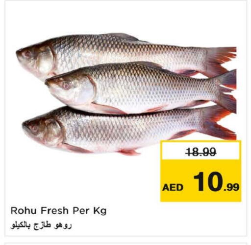 available at Nesto Hypermarket in UAE - Fujairah