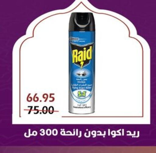 RAID available at Bashayer hypermarket in Egypt - Cairo