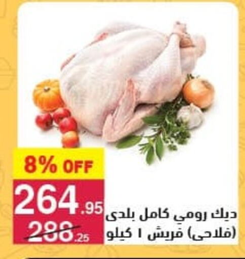 available at محمود الفار in Egypt - القاهرة